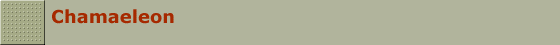 Chamaeleon