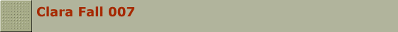 Clara Fall 007
