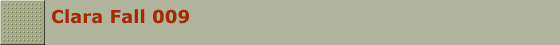 Clara Fall 009