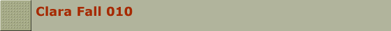 Clara Fall 010