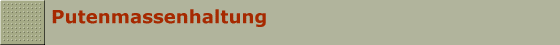 Putenmassenhaltung